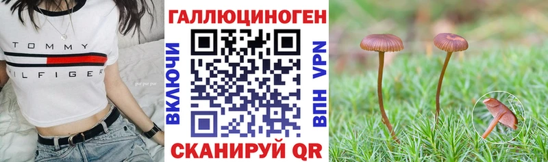 Галлюциногенные грибы GOLDEN TEACHER Новотроицк