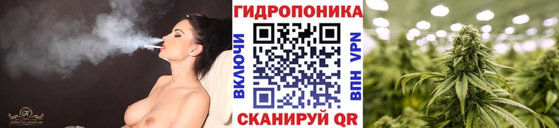 магазин  наркотиков  Новотроицк  Шишки марихуана VHQ 